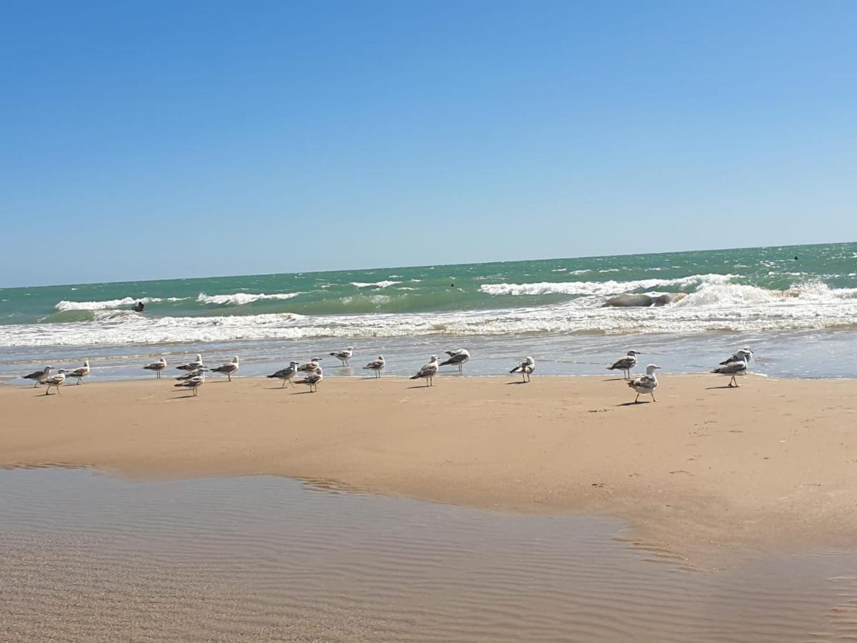 Apartamento Vista Azul Costa Ballena Extérieur photo